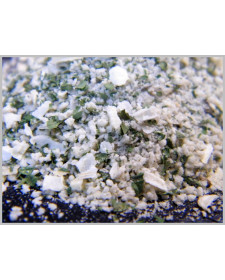 Fischburger 2,4 Kilo (3x 800 Gramm)