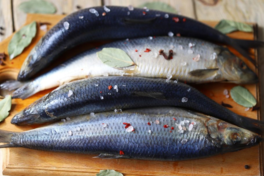 Salzhering - so wird's gemacht Salzhering - so wird's gemacht